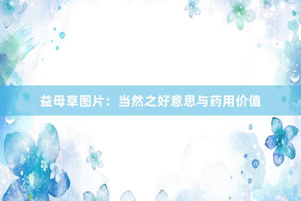 益母草图片：当然之好意思与药用价值