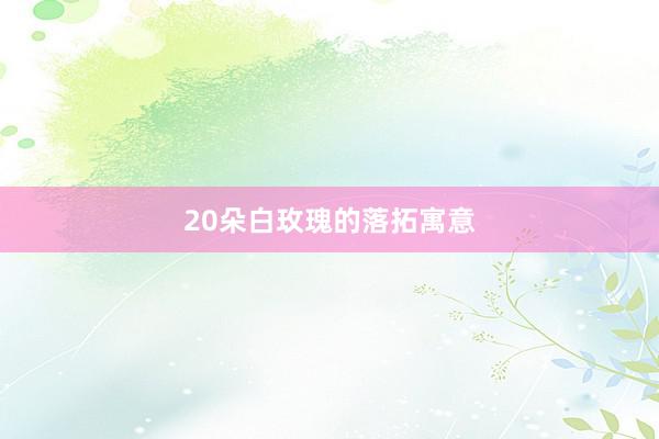 20朵白玫瑰的落拓寓意