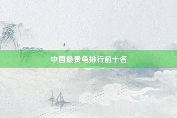 中国最贵龟排行前十名