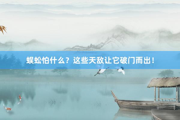 蜈蚣怕什么?这些天敌让它破门而出!