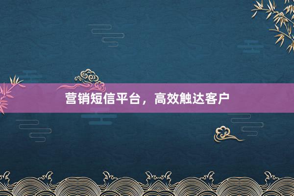 营销短信平台，高效触达客户