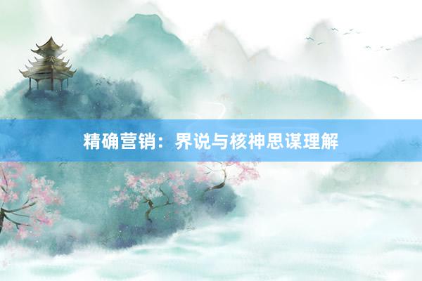 精确营销：界说与核神思谋理解